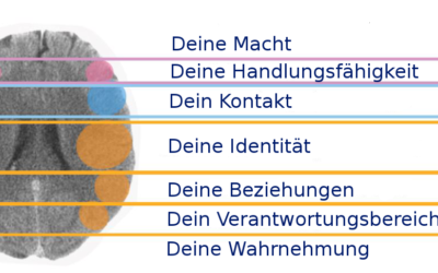 Revierbereiche verstehen – Frieden durch Änderung der Wahrnehmung