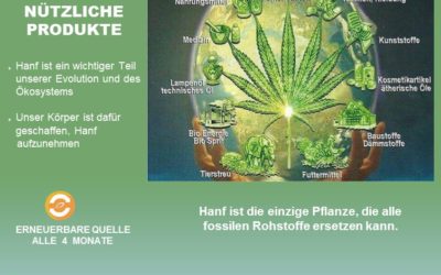 Unterstützung bei Nutzung von CBD für die Gesundheitsversicherung