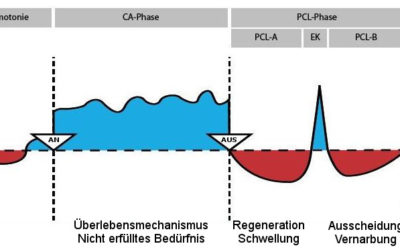 Notwendige Änderungen im Modell der 5 biologischen Naturgesetze