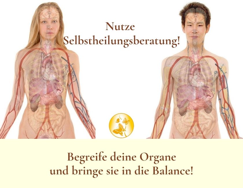 Studiennetzwerk für integrative Medizin