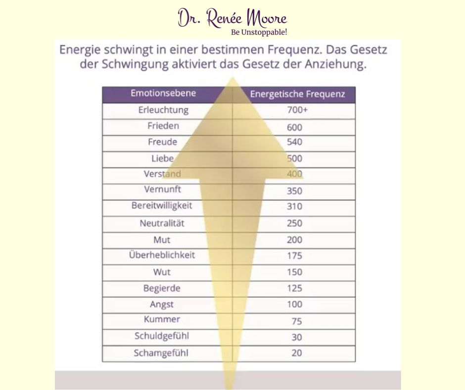 Studiennetzwerk für integrative Medizin